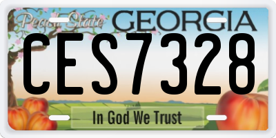 GA license plate CES7328