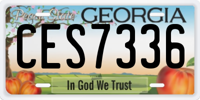 GA license plate CES7336