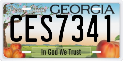 GA license plate CES7341