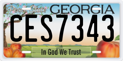 GA license plate CES7343