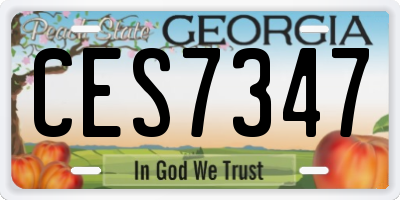 GA license plate CES7347