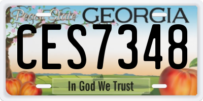 GA license plate CES7348