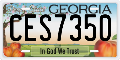 GA license plate CES7350
