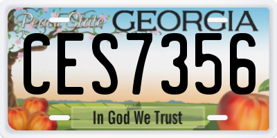 GA license plate CES7356