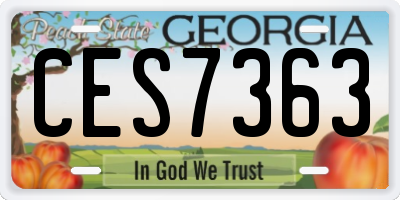 GA license plate CES7363