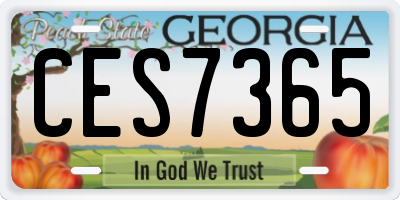 GA license plate CES7365