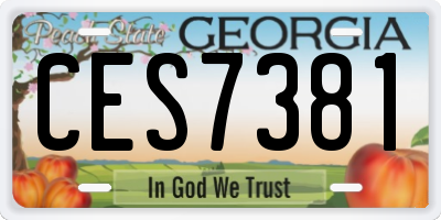 GA license plate CES7381