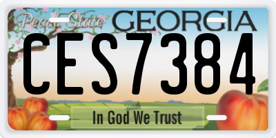 GA license plate CES7384