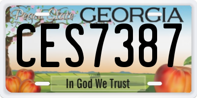 GA license plate CES7387