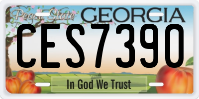 GA license plate CES7390