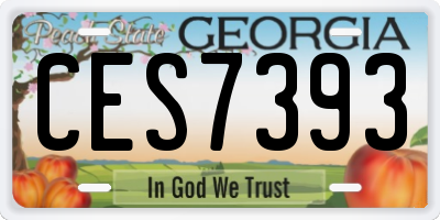 GA license plate CES7393