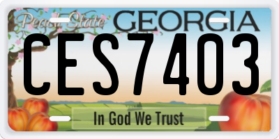 GA license plate CES7403