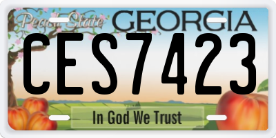 GA license plate CES7423