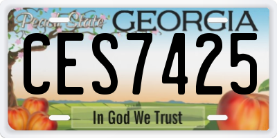 GA license plate CES7425