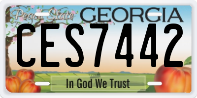 GA license plate CES7442
