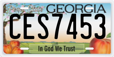 GA license plate CES7453