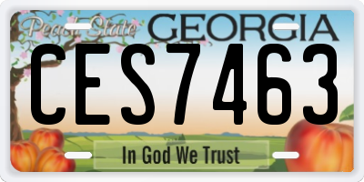 GA license plate CES7463