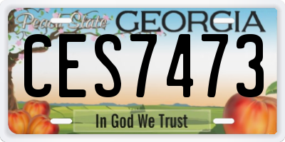 GA license plate CES7473