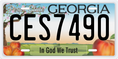 GA license plate CES7490