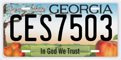 GA license plate CES7503