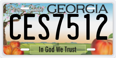 GA license plate CES7512