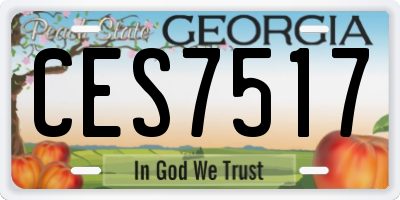 GA license plate CES7517