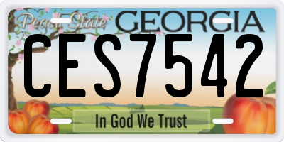 GA license plate CES7542