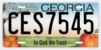 GA license plate CES7545