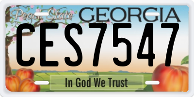 GA license plate CES7547
