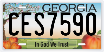 GA license plate CES7590