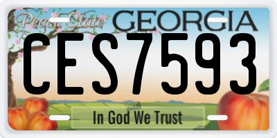 GA license plate CES7593