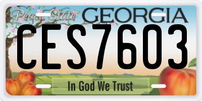 GA license plate CES7603