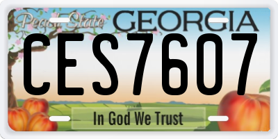 GA license plate CES7607