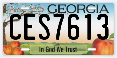 GA license plate CES7613