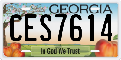 GA license plate CES7614