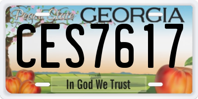 GA license plate CES7617