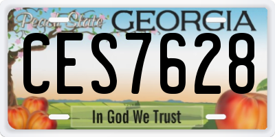 GA license plate CES7628