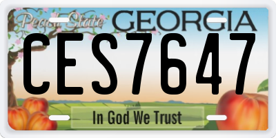 GA license plate CES7647