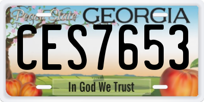 GA license plate CES7653