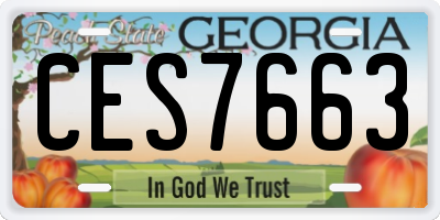 GA license plate CES7663