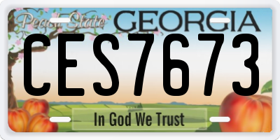 GA license plate CES7673