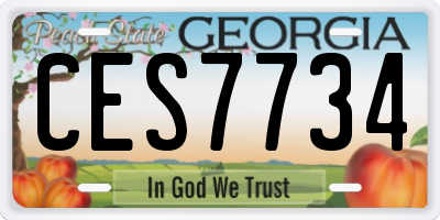 GA license plate CES7734