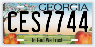 GA license plate CES7744