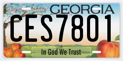 GA license plate CES7801