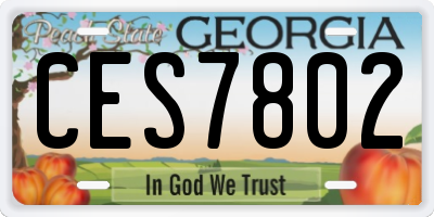 GA license plate CES7802