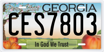 GA license plate CES7803