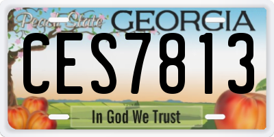 GA license plate CES7813