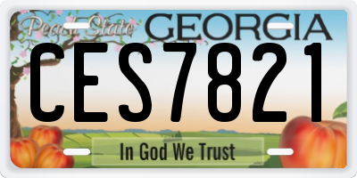 GA license plate CES7821