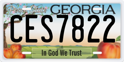 GA license plate CES7822