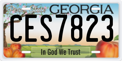 GA license plate CES7823